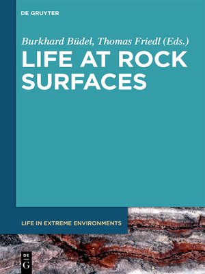 cover image of Life at Rock Surfaces